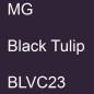 Preview: MG, Black Tulip, BLVC23.